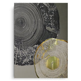 Canvas Without Frame
