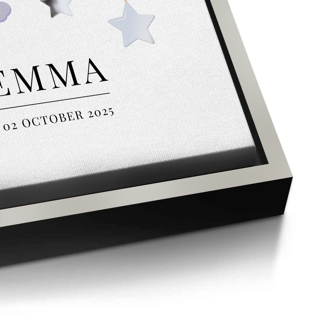 Canvas Silver