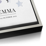 Canvas Silver