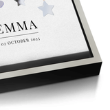 Canvas Silver