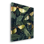 Canvas Without Frame