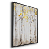 Canvas Black