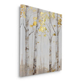 Canvas Without Frame