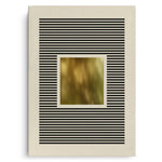 Canvas Without Frame