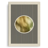 Canvas Without Frame