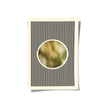 Posters Without Frame
