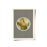 Posters Without Frame