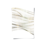 Posters Without Frame