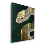 Canvas Without Frame