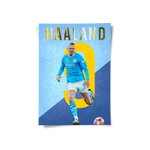 Posters Without Frame