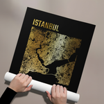 Posters Without Frame