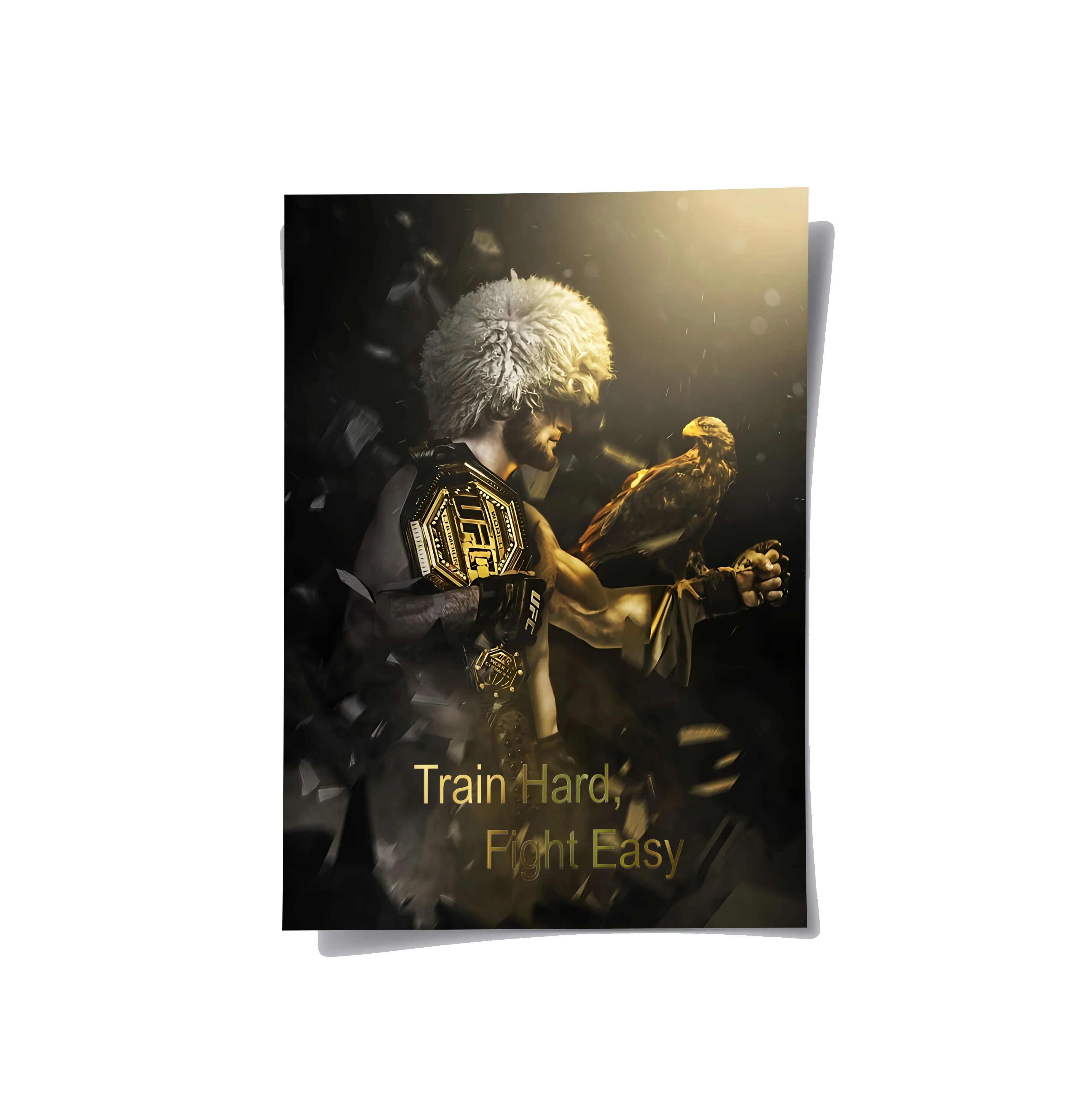 Posters Without Frame