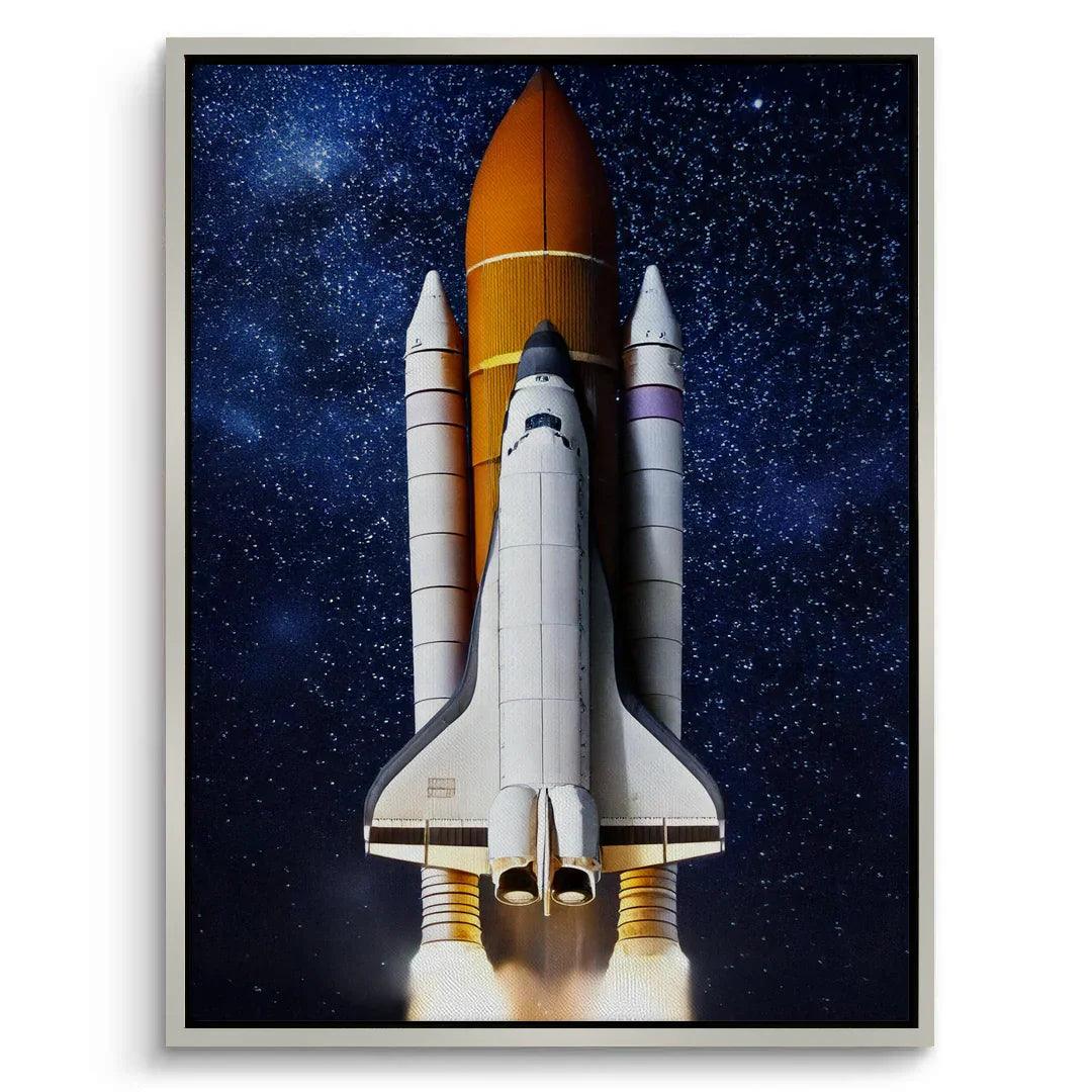 Canvas Silver