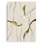 Canvas Without Frame