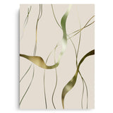 Canvas Without Frame
