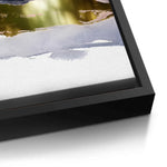 Canvas Black