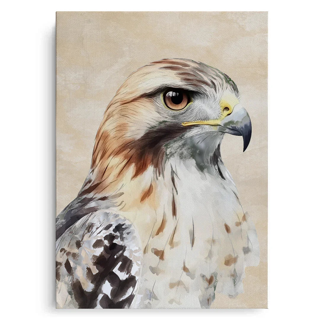 Canvas Without Frame