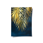 Posters Without Frame