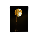 Posters Without Frame