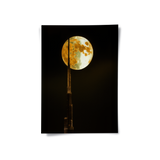 Posters Without Frame