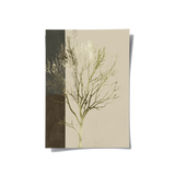 Posters Without Frame