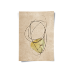 Posters Without Frame