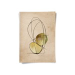 Posters Without Frame