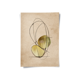 Posters Without Frame