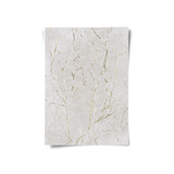 Posters Without Frame