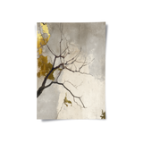 Posters Without Frame