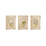 Posters Without Frame