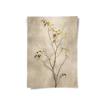 Posters Without Frame