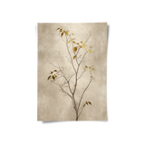 Posters Without Frame