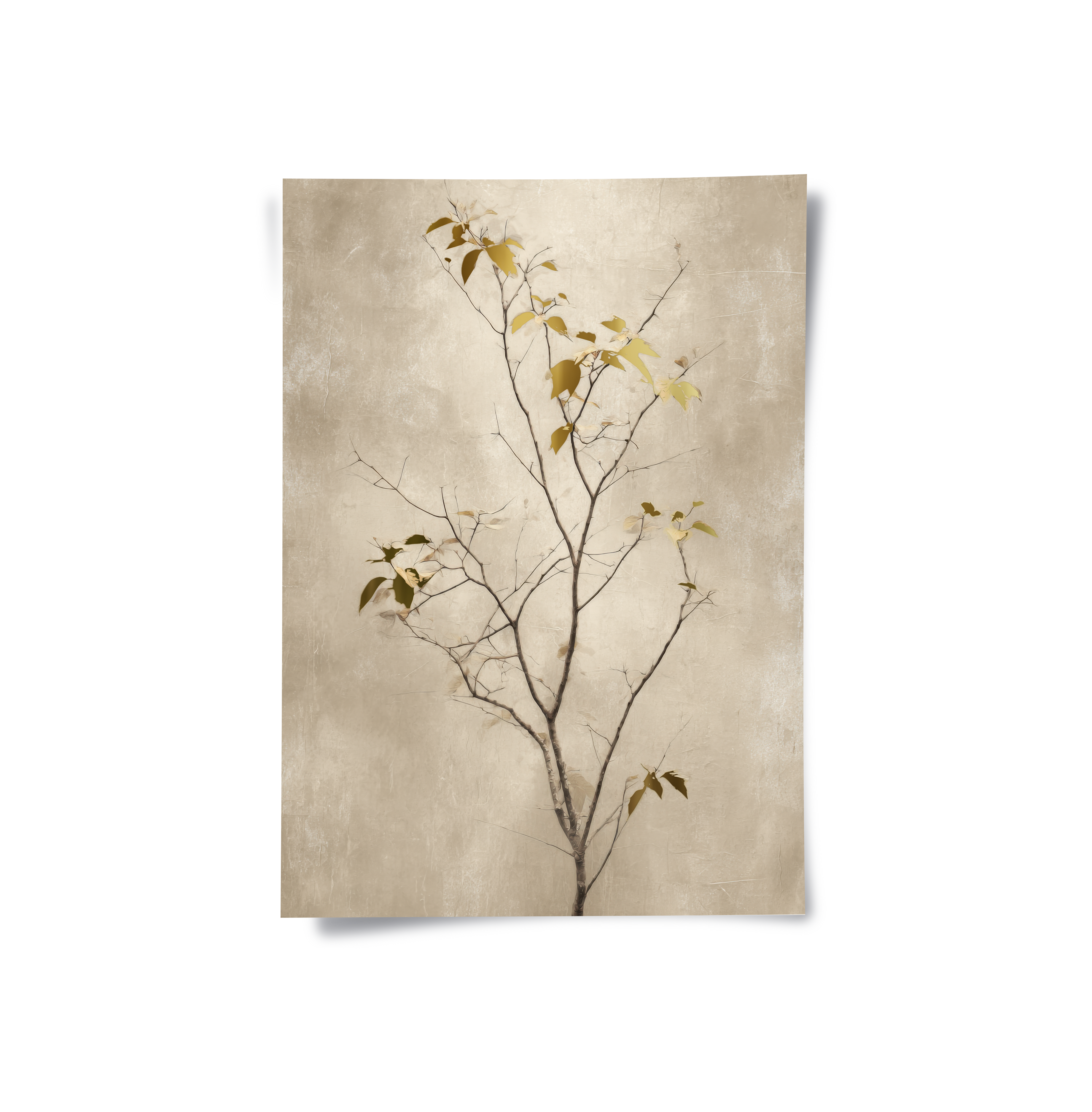 Posters Without Frame