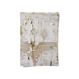 Posters Without Frame