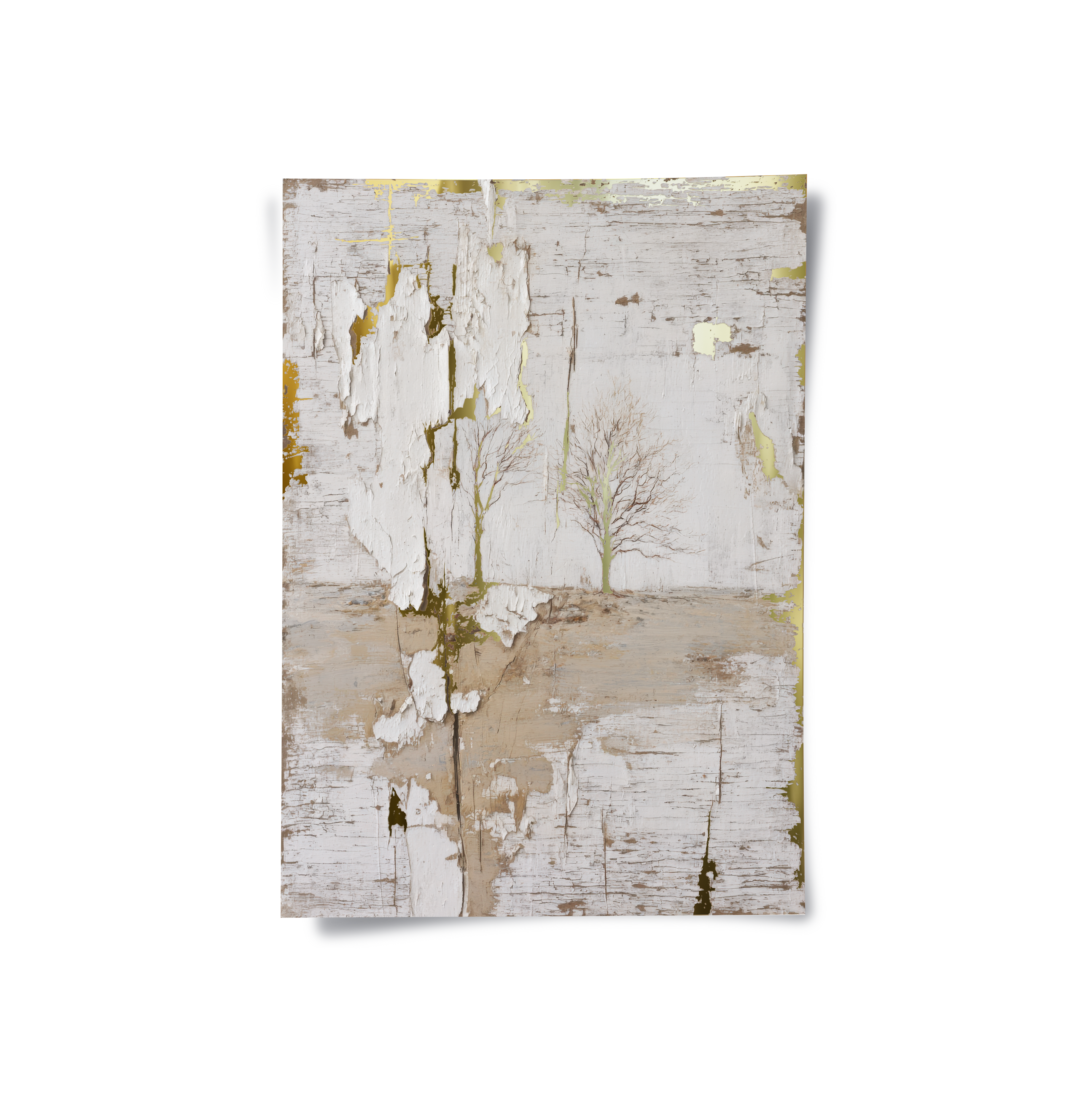 Posters Without Frame