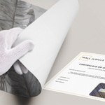 Poster Without Frame