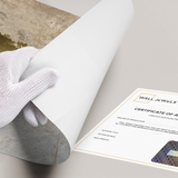 Posters Without Frame