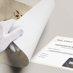 Posters Without Frame