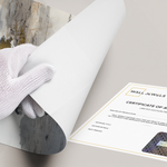 Posters Without Frame