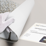 Poster Without Frame