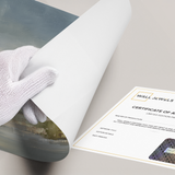 Posters Without Frame