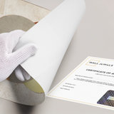 Poster Without Frame