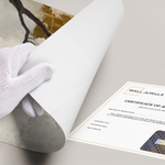 Posters Without Frame