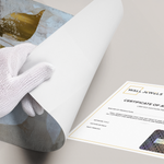 Posters Without Frame