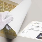 Posters Without Frame