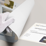 Posters Without Frame