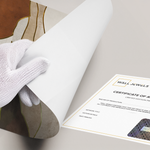 Posters Without Frame