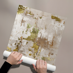 Posters Without Frame