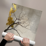 Posters Without Frame